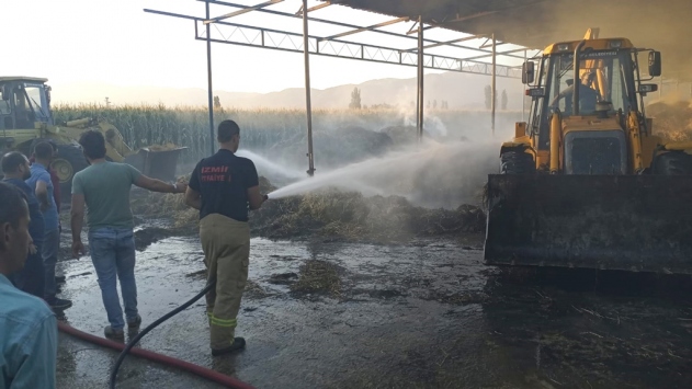 İzmir’de çıkan yangında 40 ton saman küle döndü